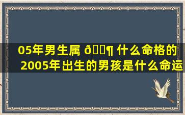 05年男生属 🐶 什么命格的「2005年出生的男孩是什么命运 🐘 」